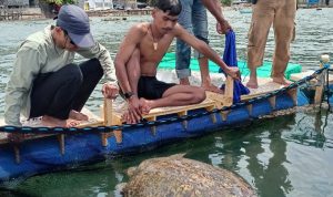 Screenshot_2024-01-18-21-17-57-00