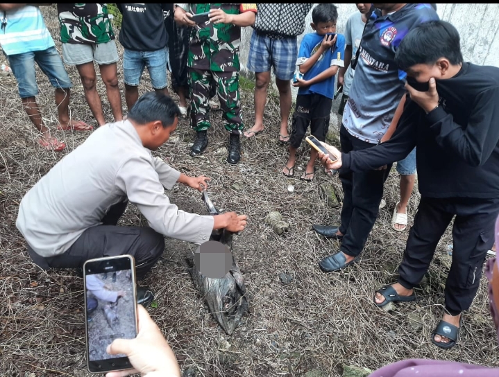 Screenshot_2025-07-12-07-01-58-69